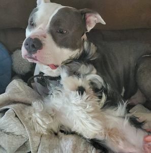 Meet your Posher, Tonya